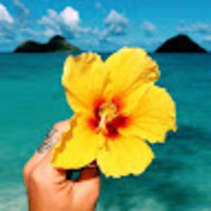 Meet your Posher, Lale